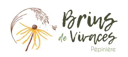 logo-brins-de-vivaces x1200